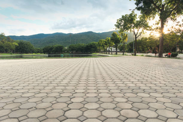 Best Driveway Paver Repair  in Temple, TX
