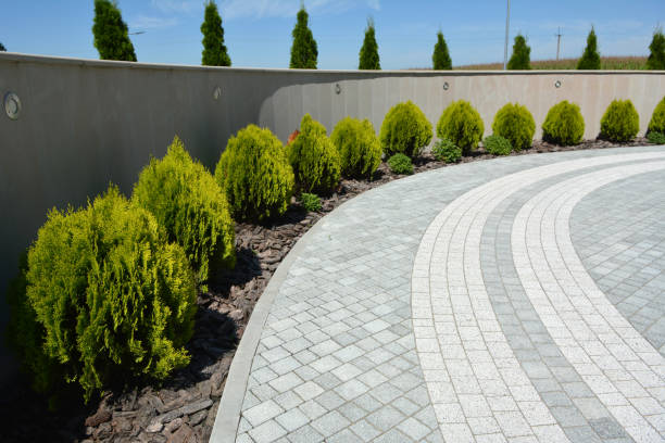 Best Brick Driveway Pavers  in Temple, TX